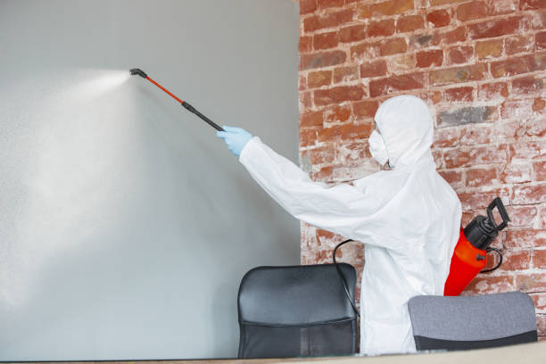 Best Post-Remediation Verification Testing  in Rosedale, MS