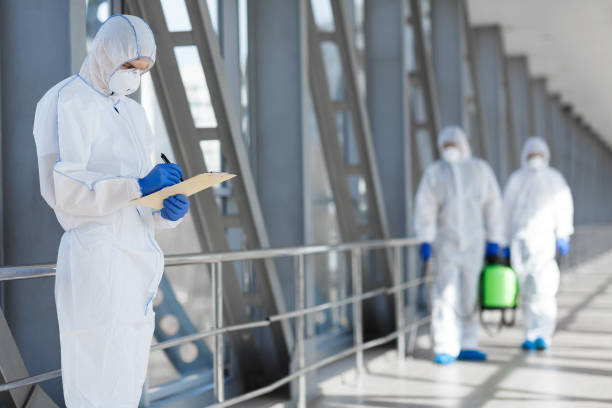  Rosedale, MS Mold Removal Pros
