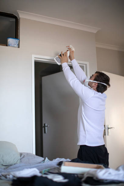 Best Environmental Consulting for Mold Prevention  in Rosedale, MS