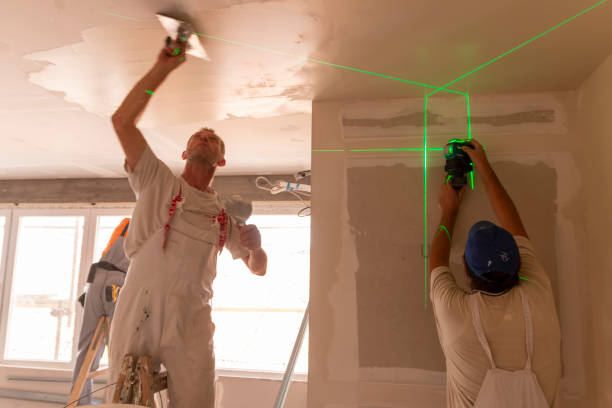 Rosedale, MS Mold Removal Company