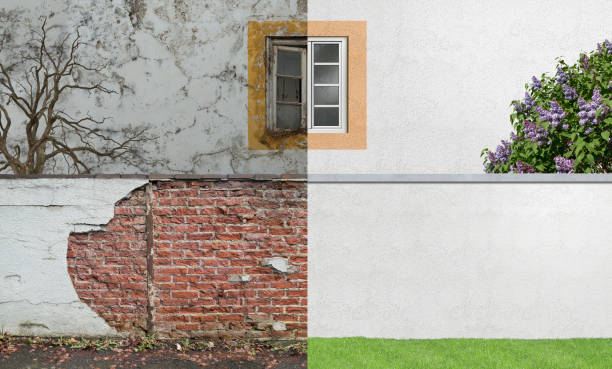 Best Mold Remediation for Healthcare Facilities  in Rosedale, MS
