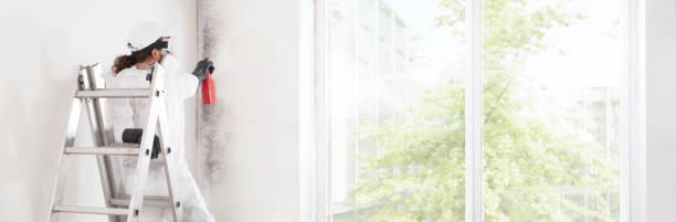 Best Industrial Mold Remediation  in Rosedale, MS