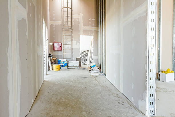 Best Forensic Mold Investigation  in Rosedale, MS