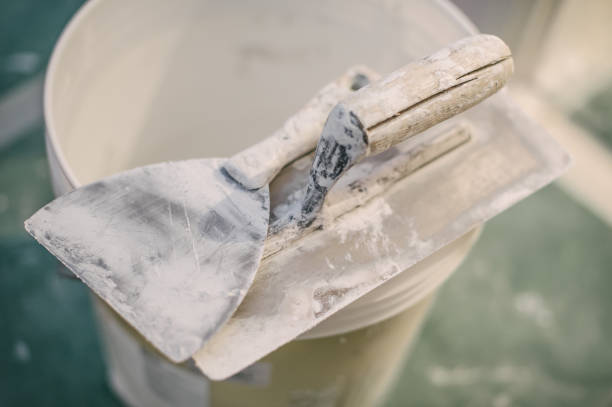 Best Mold Damage Restoration  in Rosedale, MS