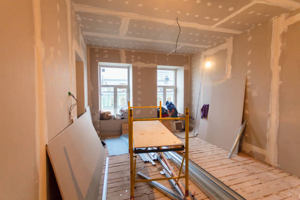 Best Mold Odor Removal Services  in Rosedale, MS